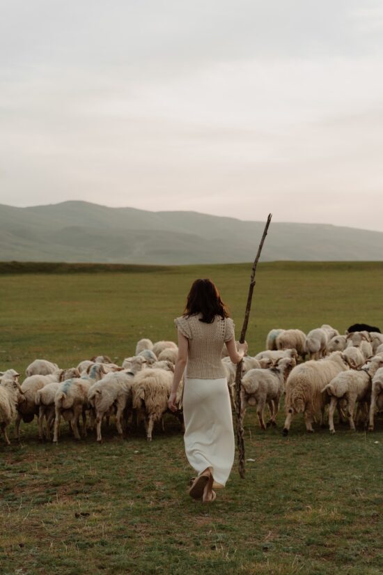 Shepherd holding a staff and leading sheep
